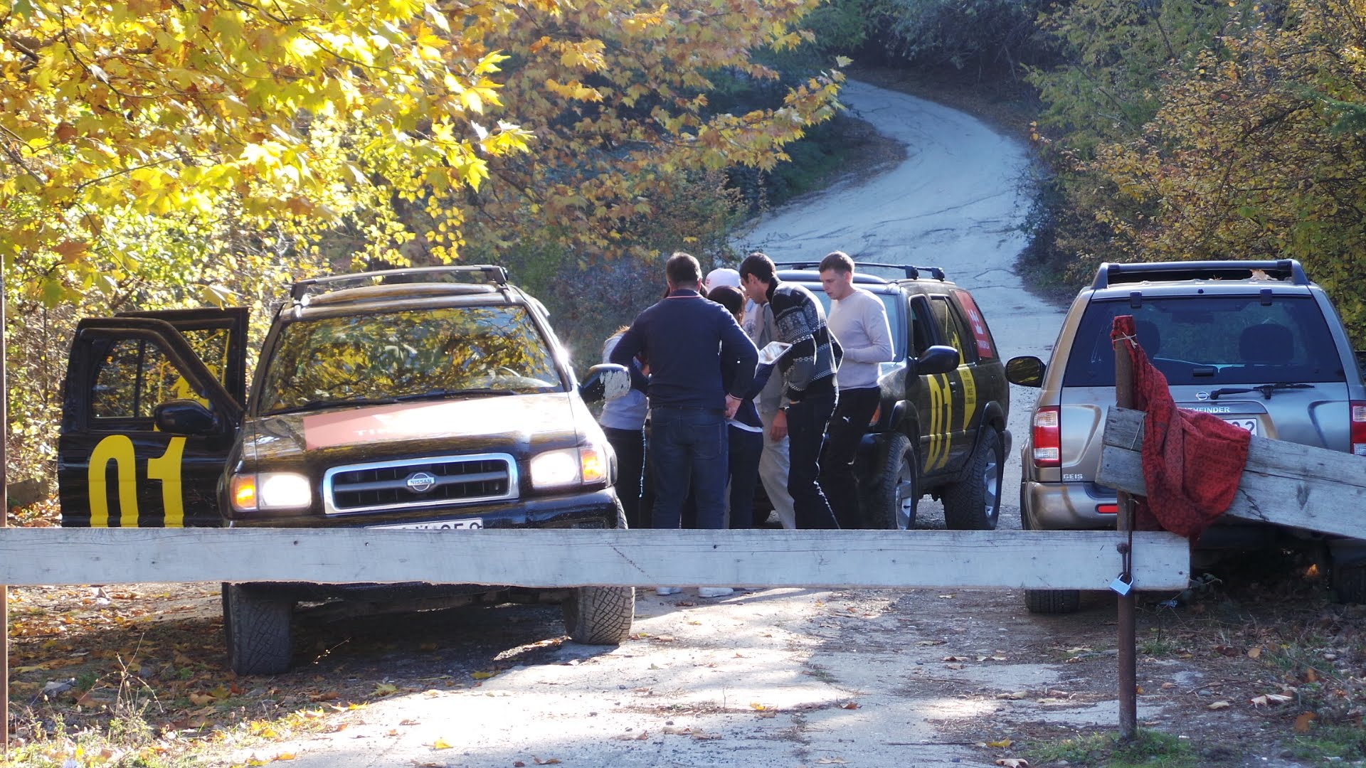 Tikkurila в Грузии